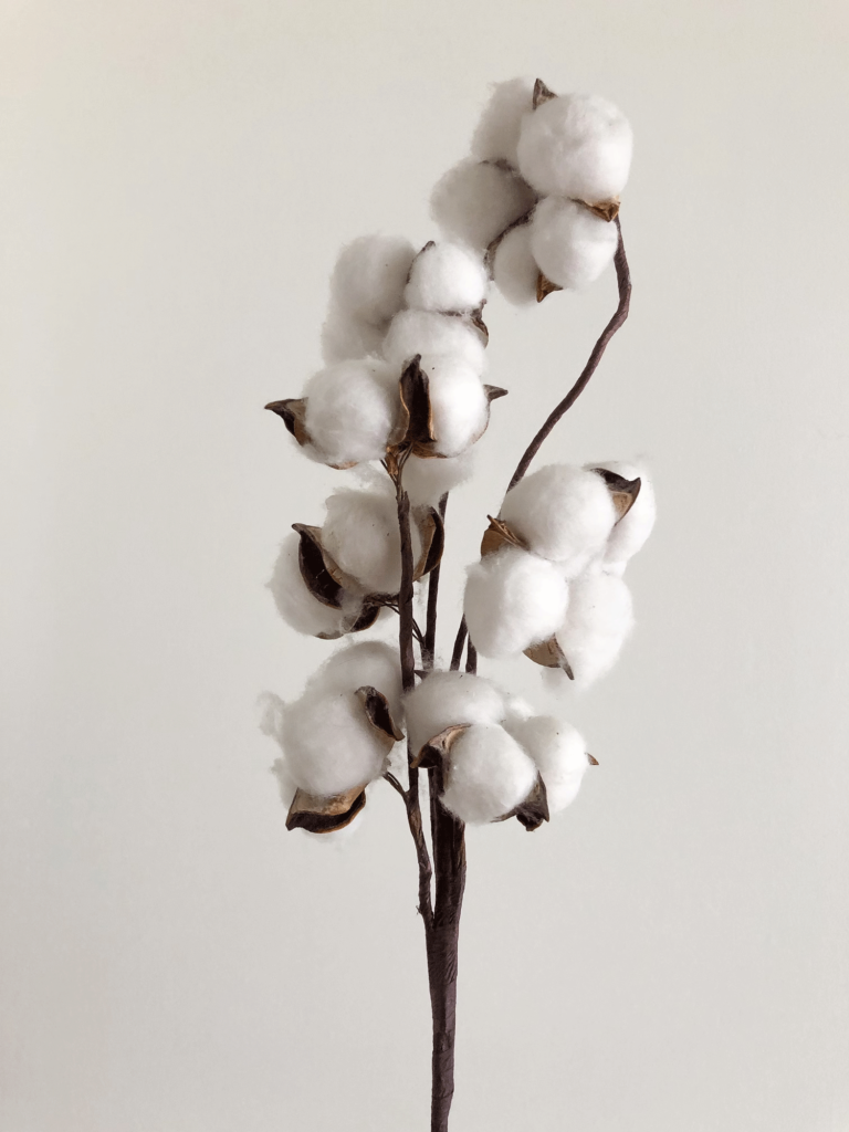 coton-uneviedescargot-accueil
